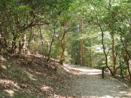 trail to boardwalk